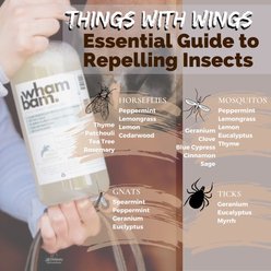 The Infused Equestrian Wham Bam Coat Fly insect Repellent Horse Spray, 28-fl oz bottle slide 2 of 3