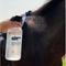 Show in main carousel: The Infused Equestrian Wham Bam Coat Fly insect Repellent Horse Spray, 28-fl oz bottle slide 2 of 3