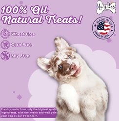 The Lazy Dog Cookie Co. Birthday Cake Bites Dog Treats, 5-oz bag slide 2 of 6