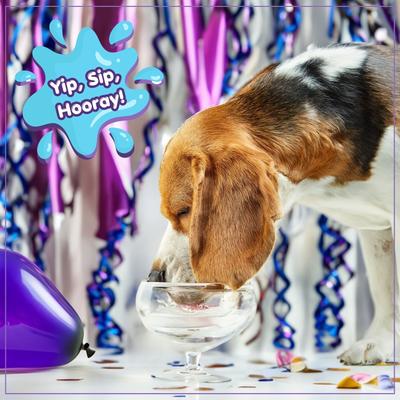 Show full view: The Lazy Dog Cookie Co. Pup-POP Birthday Water Vanilla Cake Flavor Dog Treat, 15.5-oz can slide 4 of 7