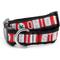 Show in main carousel: The License House Ohio State Colorblock Dog Collar, Scarlet/Gray, Small slide 1 of 3