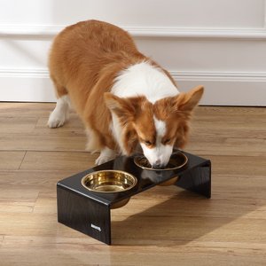 THE LICKER STORE Keaton Modern Lucite Stainless Steel Elevated Dog & Cat Bowls