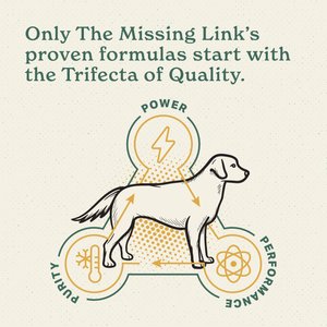 The Missing Link Hip & Joint Powder Joint Supplement with Glucosamine for Dogs, 1-lb bag