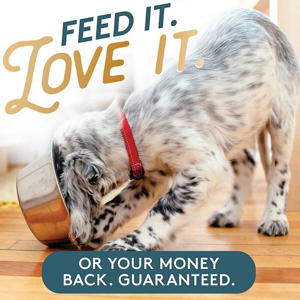 The Missing Link Pet Kelp Well-Being Dog Supplement