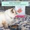 Show in main carousel: The New Zealand Natural Pet Food Co. Meow Chicken & Salmon Air Dried Cat Food, 3.5-oz bag slide 8 of 9