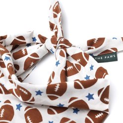 The Paws Game Day Machine Washable Dog Bandana, Small slide 2 of 3