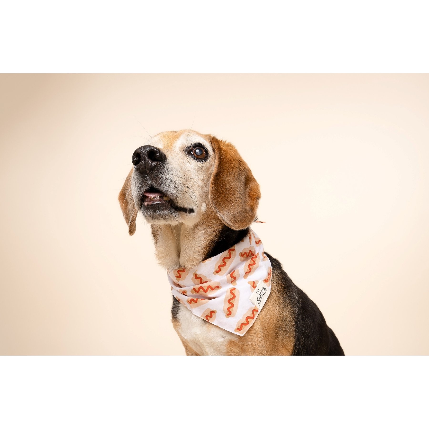 The Paws Sizzle Dog & Cat Bandana, Red, Small