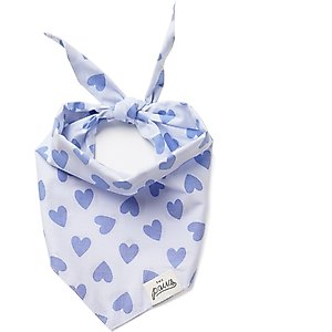 The Paws Story Dog Bandana, Blue, Small