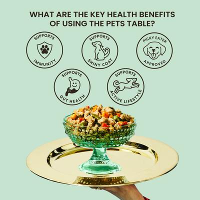 Show full view: The Pets Table Freshly-Made Frozen Human-Grade Chicken Casserole Dog Food, 16-oz pouch, 6 count slide 7 of 11