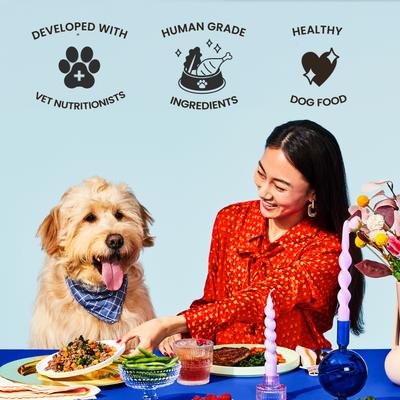 Show full view: The Pets Table Freshly-Made Frozen Human-Grade Chicken Casserole Dog Food, 16-oz pouch, 6 count slide 6 of 11