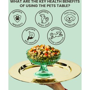 The Pets Table Freshly-Made Frozen Human-Grade Variety Pack Dog Food, 15 to 17-oz pouches, 6 count