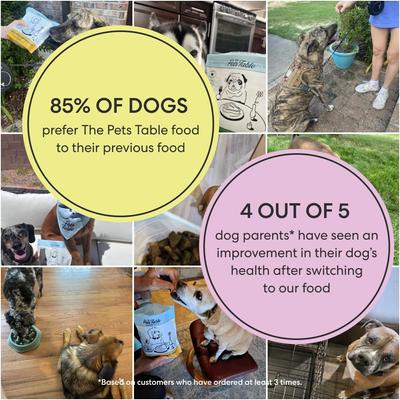 Show full view: The Pets Table Salmon & Whitefish with Pumpkin Grain-Free Air-Dried Dog Food, 96-oz bundle slide 8 of 9