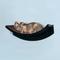 Show in main carousel: The Refined Feline Lotus Leaf Wall Mounted Cat Wall Shelf, Espresso slide 1 of 7