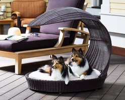 The Refined Feline Waterproof Covered Outdoor Dog Bed, Large, Espresso