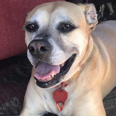 Show full view: The Tick Patrol Aluminum Tick Remover Tool, 1 count slide 5 of 8