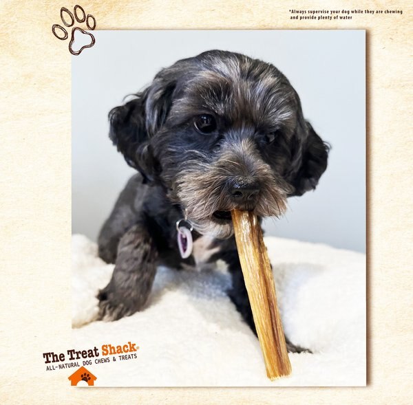 The Treat Shack 12-in Bully Sticks Dog Treats