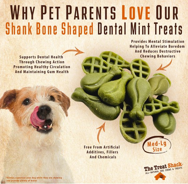 Treat Shack^{™} Mint Dental Dog Treats - 3 to 4-inch