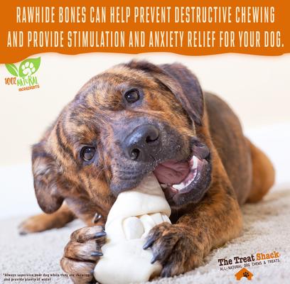 Show full view: The Treat Shack 4 to 5-in Knotted Bones Rawhide Dog Treats, 10 count slide 5 of 10