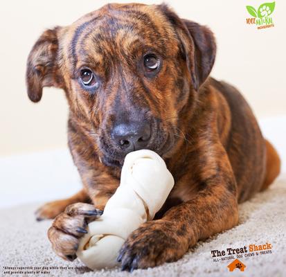 Show full view: The Treat Shack 4 to 5-in Knotted Bones Rawhide Dog Treats, 10 count slide 7 of 10
