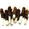 Show in main carousel: The Treat Shack 5-in Beef Wrapped Rawhide Twist Dog Treat, 50 count slide 1 of 9