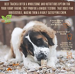 The Treat Shack 6-in Split Beef Trachea Flats Dog Treat, 30 count slide 2 of 9