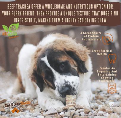 Show full view: The Treat Shack 6-in Split Beef Trachea Flats Dog Treat, 30 count slide 6 of 10