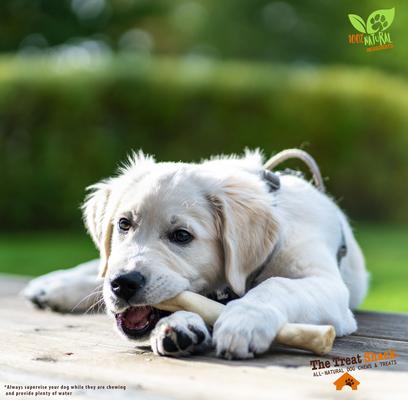 Show full view: The Treat Shack 7 to 8-in Retriever Rolls Rawhide Dog Treats, 30 count slide 7 of 10