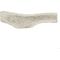 Show in main carousel: The Treat Shack 7 to 8-in Split Elk Antler Dog Treats, Large, 1 count slide 3 of 6