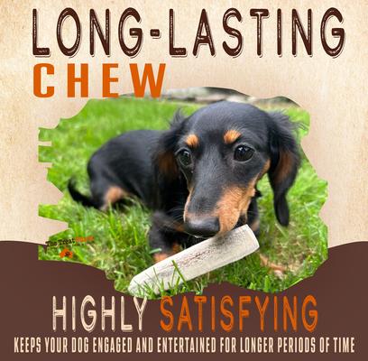 Show full view: The Treat Shack 7 to 8-in Split Elk Antler Dog Treats, Large, 4 count slide 5 of 10