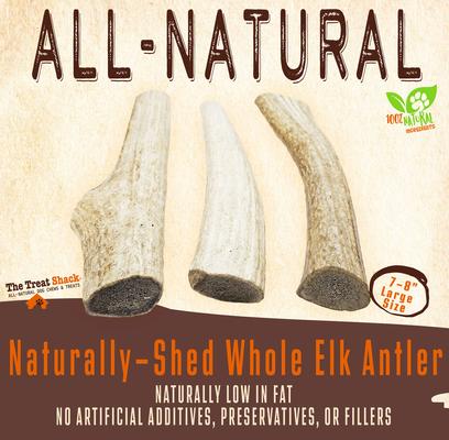 Show full view: The Treat Shack 7 to 8-in Whole Elk Antler Dog Treats, Large, 1 count slide 4 of 11