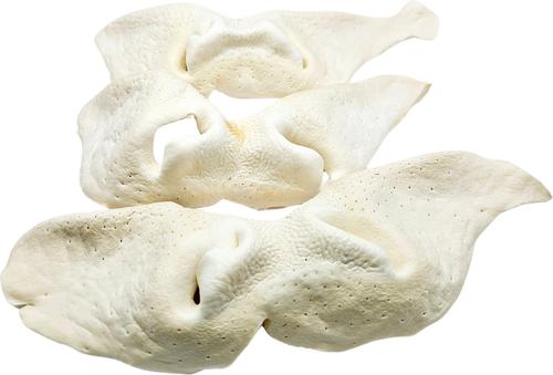 Show full view: The Treat Shack 8 to 9-in Beef Snouts Natural Dog Chew Treats, Jumbo, 3 count slide 3 of 9