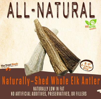 Show full view: The Treat Shack 8 to 9-in Whole Elk Antler Dog Treats, X-Large, 1 count slide 4 of 10