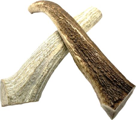 Show full view: The Treat Shack 8 to 9-in Whole Elk Antler Dog Treats, X-Large, 2 count slide 3 of 10