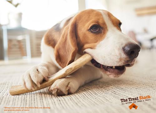 Show full view: The Treat Shack 8 to 9-in Whole Elk Antler Dog Treats, X-Large, 2 count slide 8 of 10