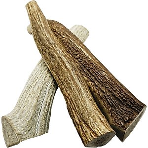 The Treat Shack 8 to 9-in Whole Elk Antler Dog Treats, X-Large, 3 count