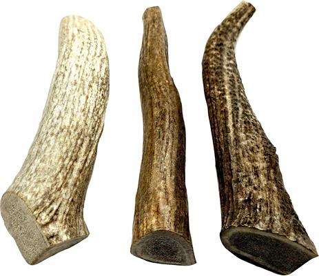 Show full view: The Treat Shack 8 to 9-in Whole Elk Antler Dog Treats, X-Large, 3 count slide 3 of 10
