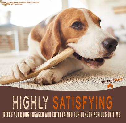 Show full view: The Treat Shack 8 to 9-in Whole Elk Antler Dog Treats, X-Large, 3 count slide 5 of 10