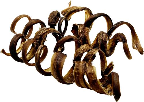 Show full view: The Treat Shack 8-in Pork Pizzle Springs Natural Dog Chew Treats, 3 count slide 3 of 9