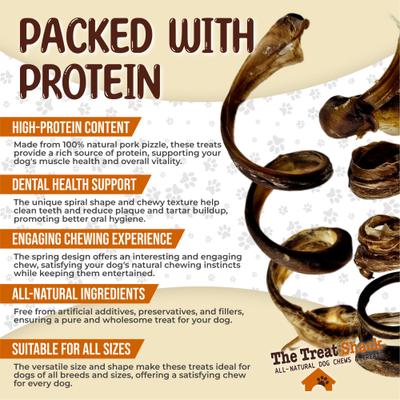 Show full view: The Treat Shack 8-in Pork Pizzle Springs Natural Dog Chew Treats, 6 count slide 5 of 9