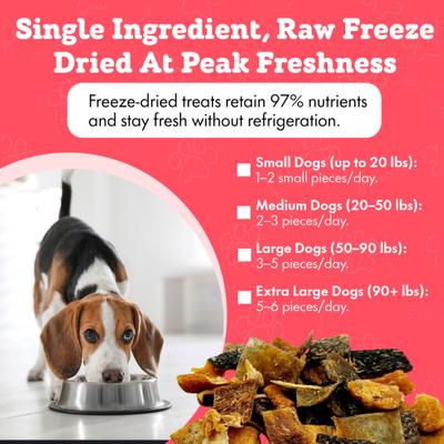 Show full view: The Treat Shack All-Natural Salmon Human-Grade Jerky Brittle Freeze-Dried Dog Treats, 3-oz bag slide 5 of 9