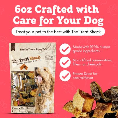Show full view: The Treat Shack All-Natural Salmon Human-Grade Jerky Brittle Freeze-Dried Dog Treats, 6-oz bag slide 4 of 9
