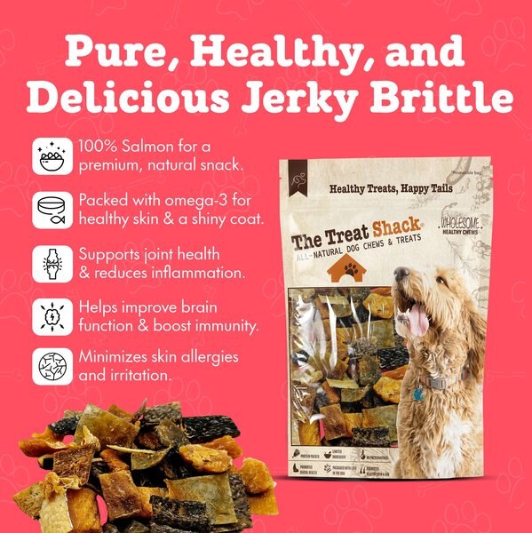 The Treat Shack All-Natural Salmon Human-Grade Jerky Brittle Freeze-Dried Dog Treats