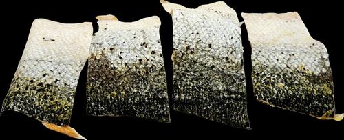 Show full view: The Treat Shack All-Natural Salmon Jerky Brittle & Skins Variety Pack Freeze-Dried Dog Treats, 6-oz bag, 6-oz bag slide 3 of 9