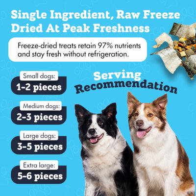 Show full view: The Treat Shack All-Natural Salmon Jerky Brittle & Skins Variety Pack Freeze-Dried Dog Treats, 6-oz bag, 6-oz bag slide 6 of 9