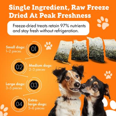 Show full view: The Treat Shack All-Natural Salmon Skins Human-Grade Freeze-Dried Dog Treats, 3-oz bag slide 5 of 9
