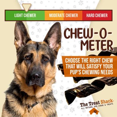 Show full view: The Treat Shack Beef Springs High-Protein Jerky Dog Treats, 10 to 12-in, 6 count slide 7 of 9