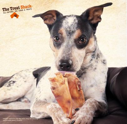 Show full view: The Treat Shack Jumbo Whole Natural Pig Ears Dog Treat, 15 count slide 8 of 11