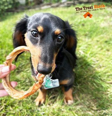 Show full view: The Treat Shack Large Beef Bully Rings Dog Treat, 10 count slide 8 of 10