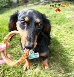 The Treat Shack Large Beef Bully Rings Dog Treat, 5 count slide 2 of 9