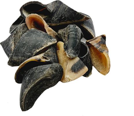 Show full view: The Treat Shack Large Cow Hooves Dog Treat, 25 count slide 3 of 10